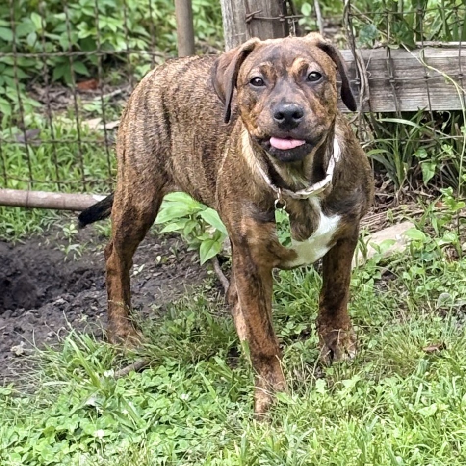 Penelope — thumbnail 7