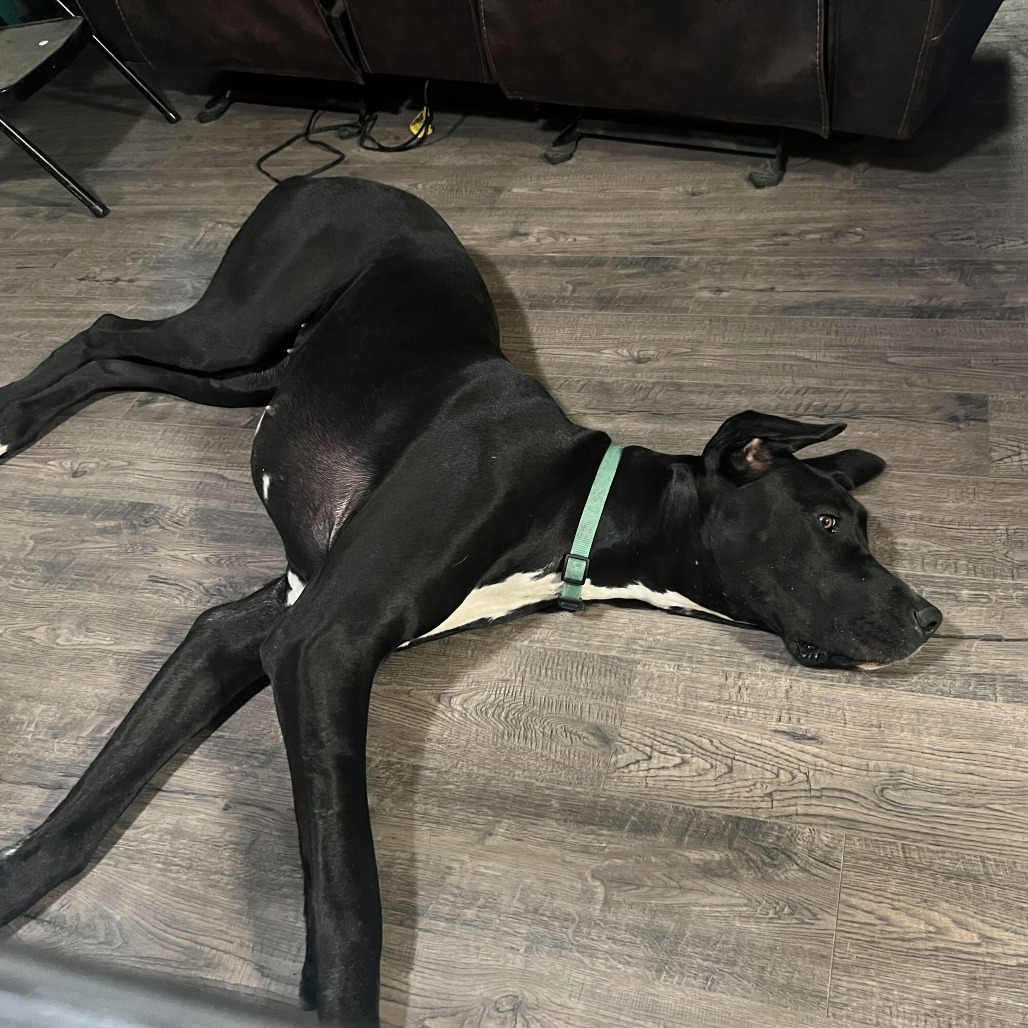 Lady — thumbnail 5