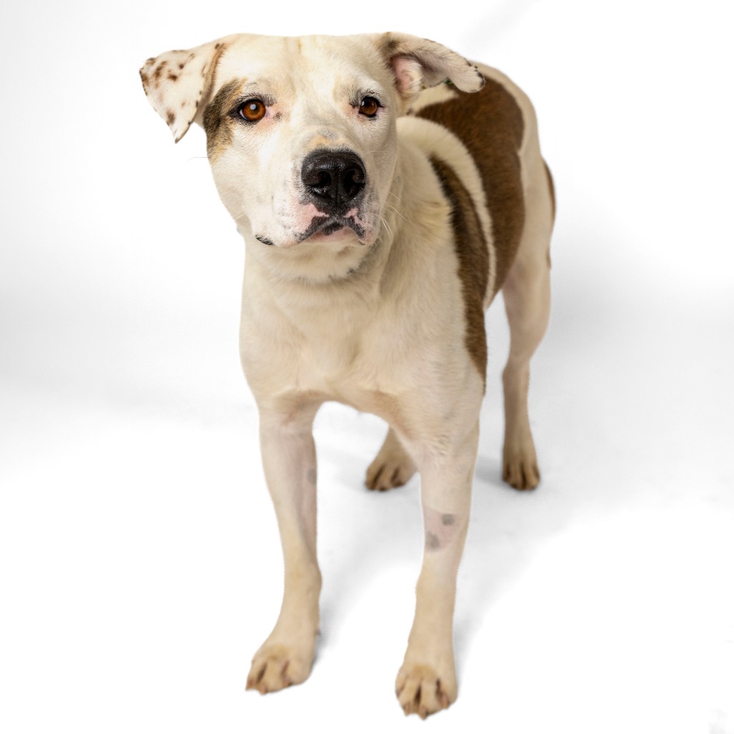 Ruben