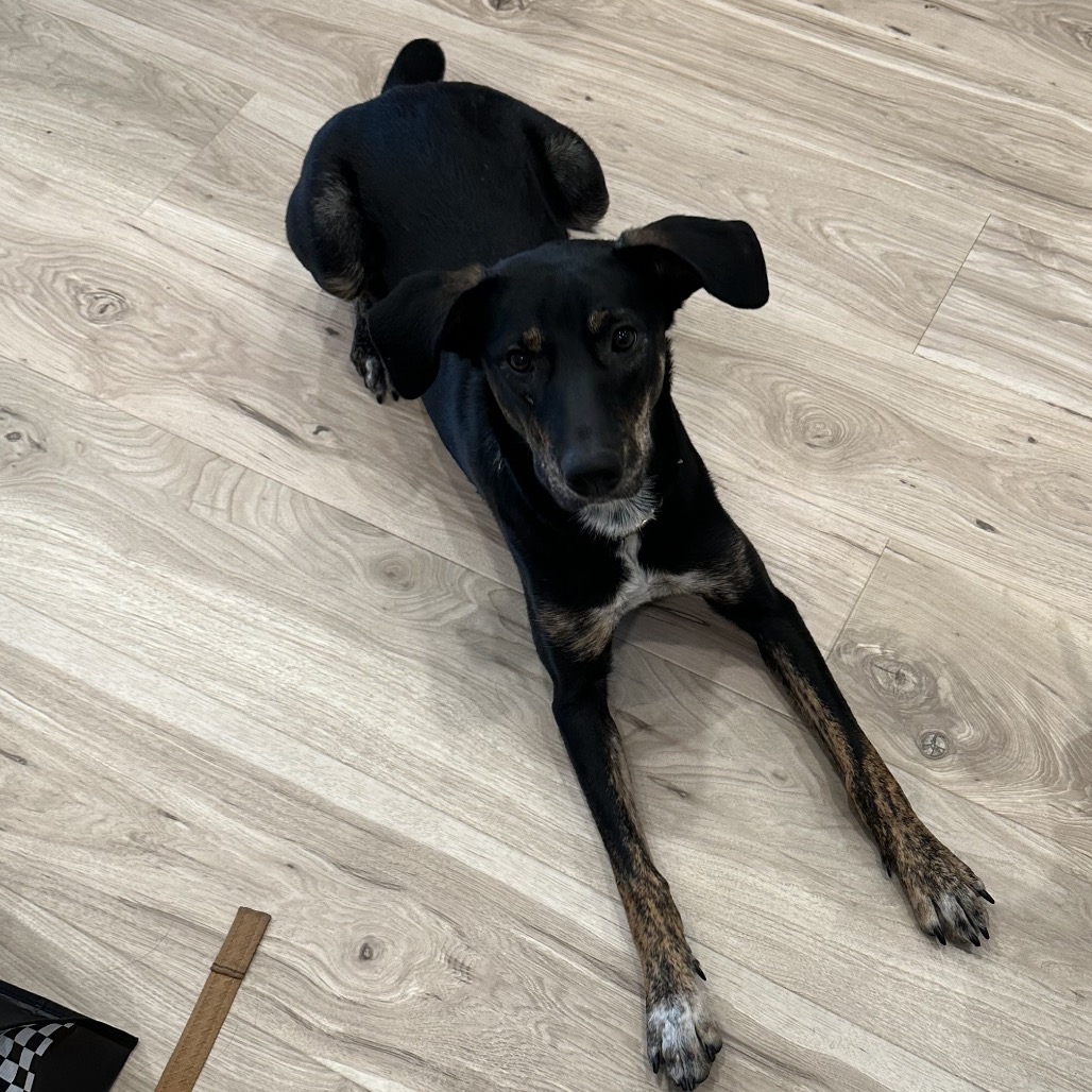 Lucille — thumbnail 2