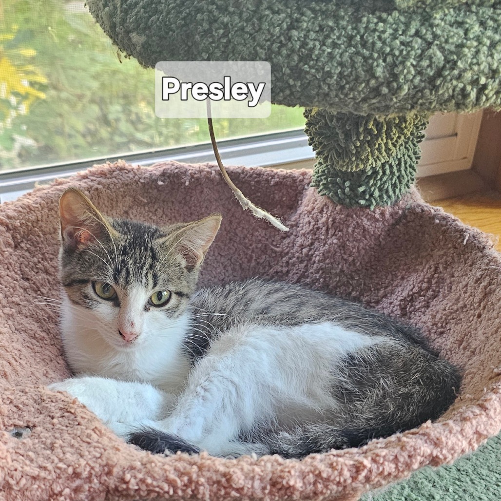 Presley