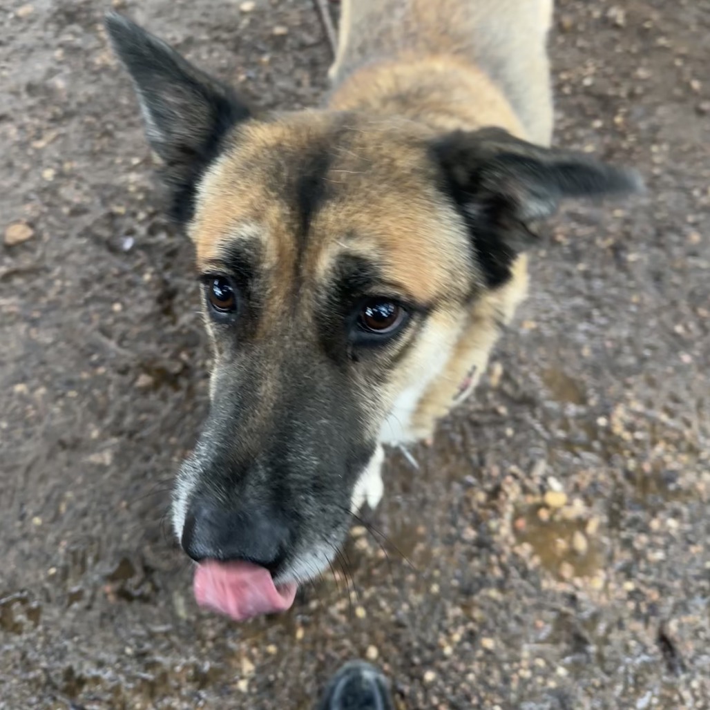 Cheyenne, additional photo