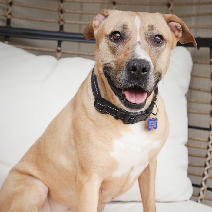 Ruthie, photo 11