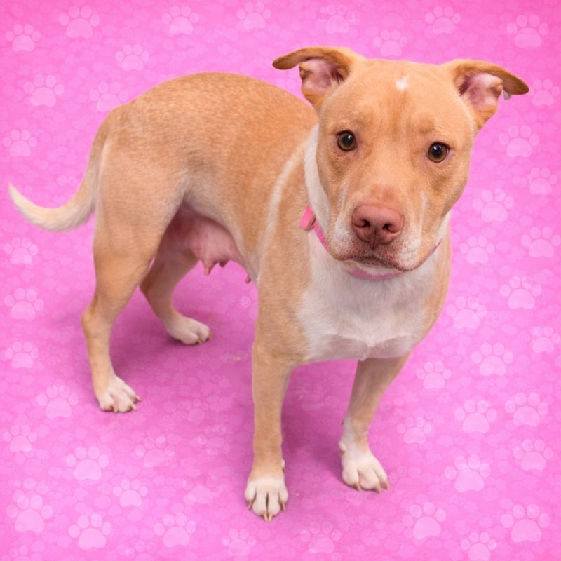 MARLEY — thumbnail 5