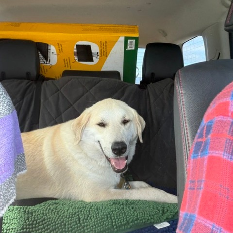 STANLEY, photo 11
