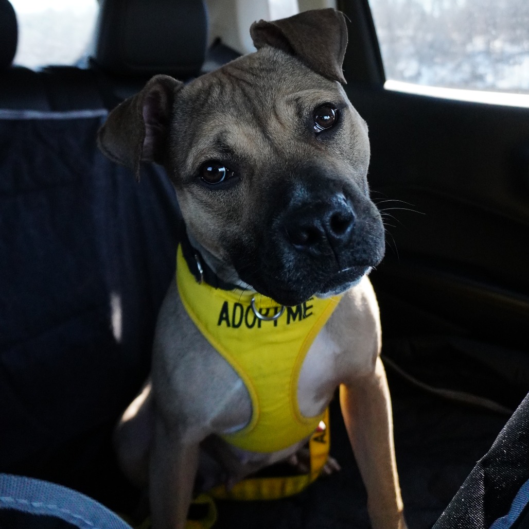 Morgan — thumbnail 5