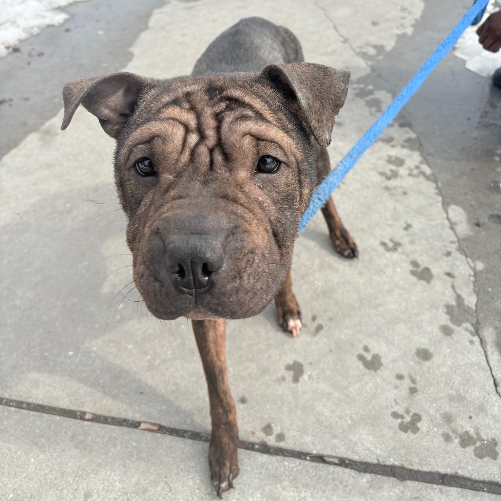 Smooches — thumbnail 2