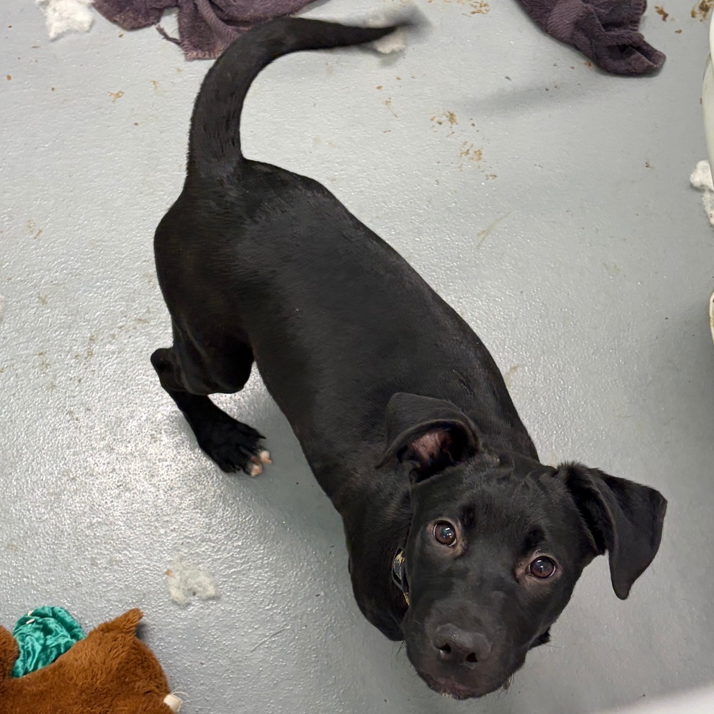 James Rush — thumbnail 8