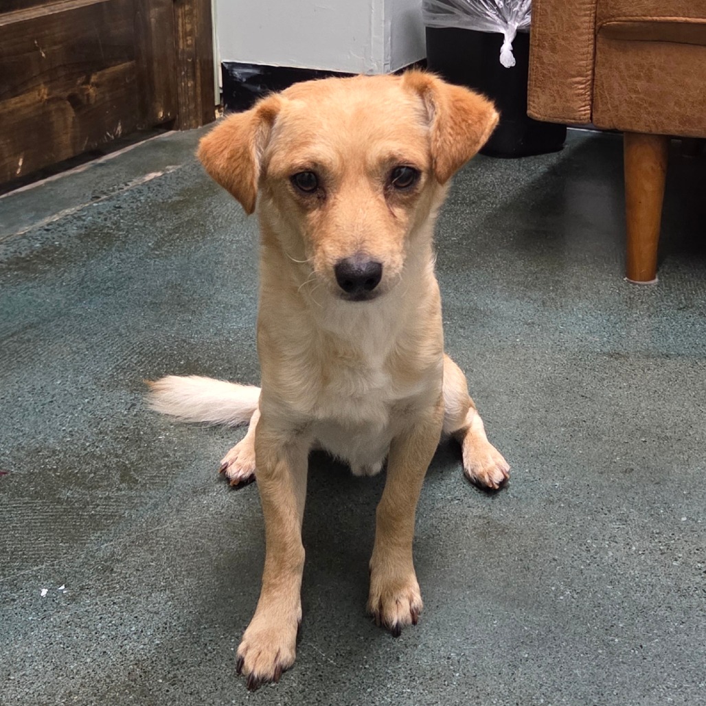 Clay — thumbnail 3