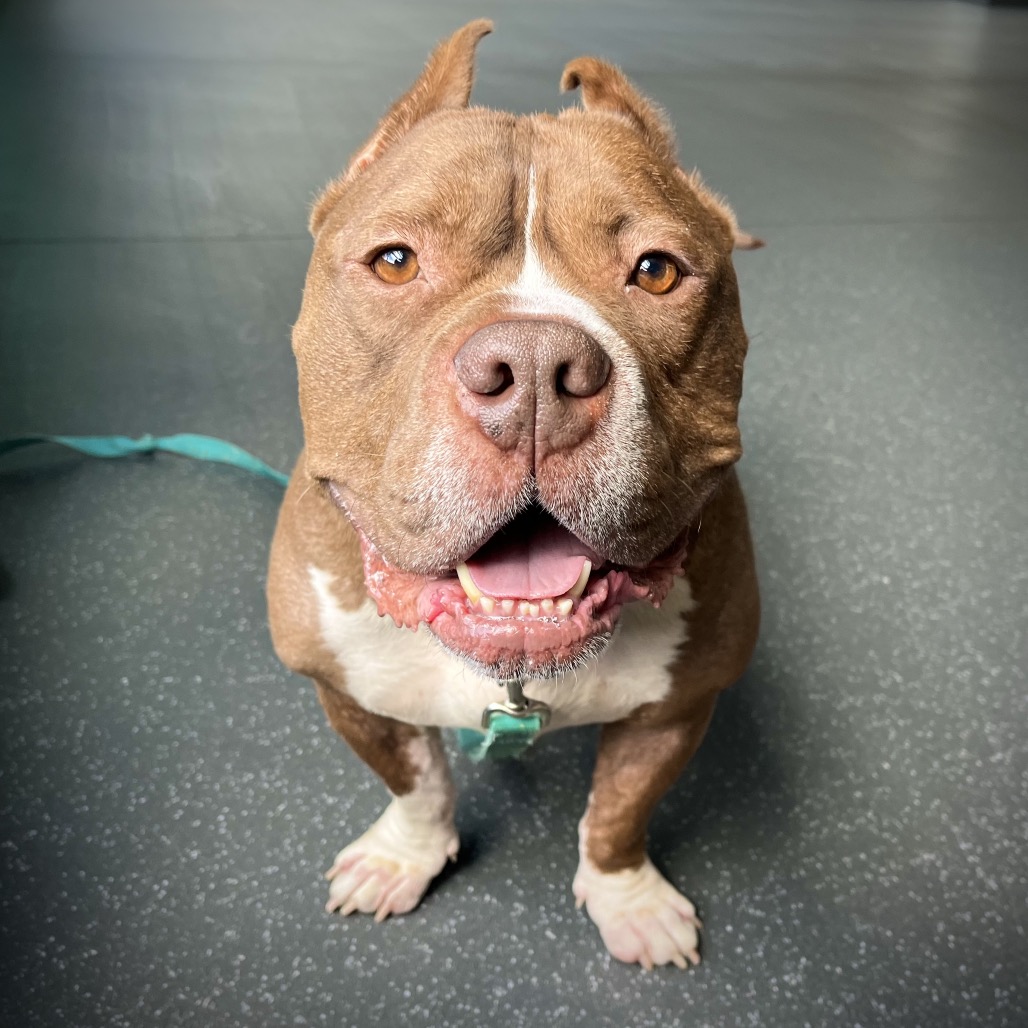 Photo of Tank