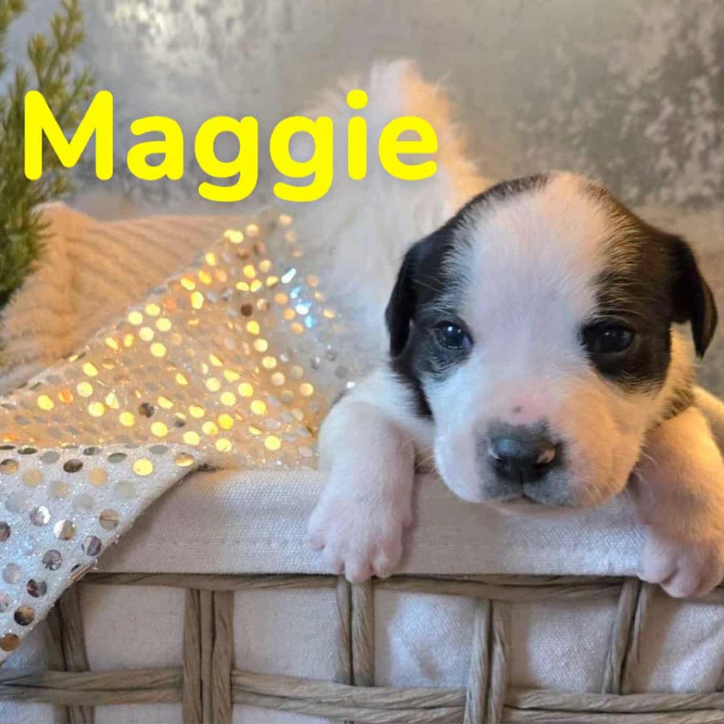 Maggie 