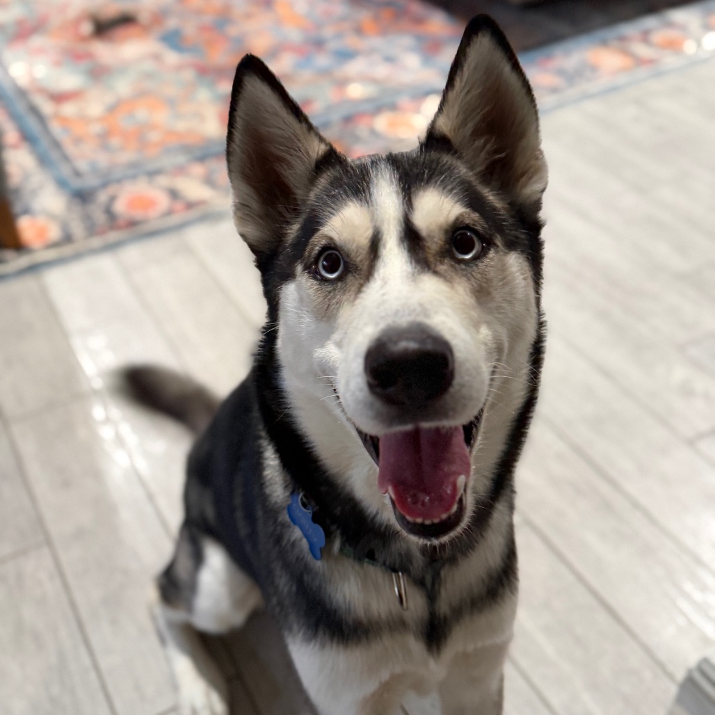 OAKLEY, photo 12