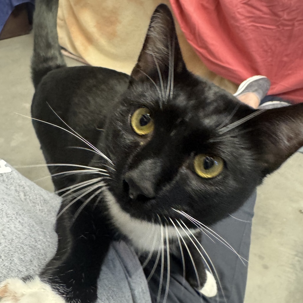 Photo of Ernie 5