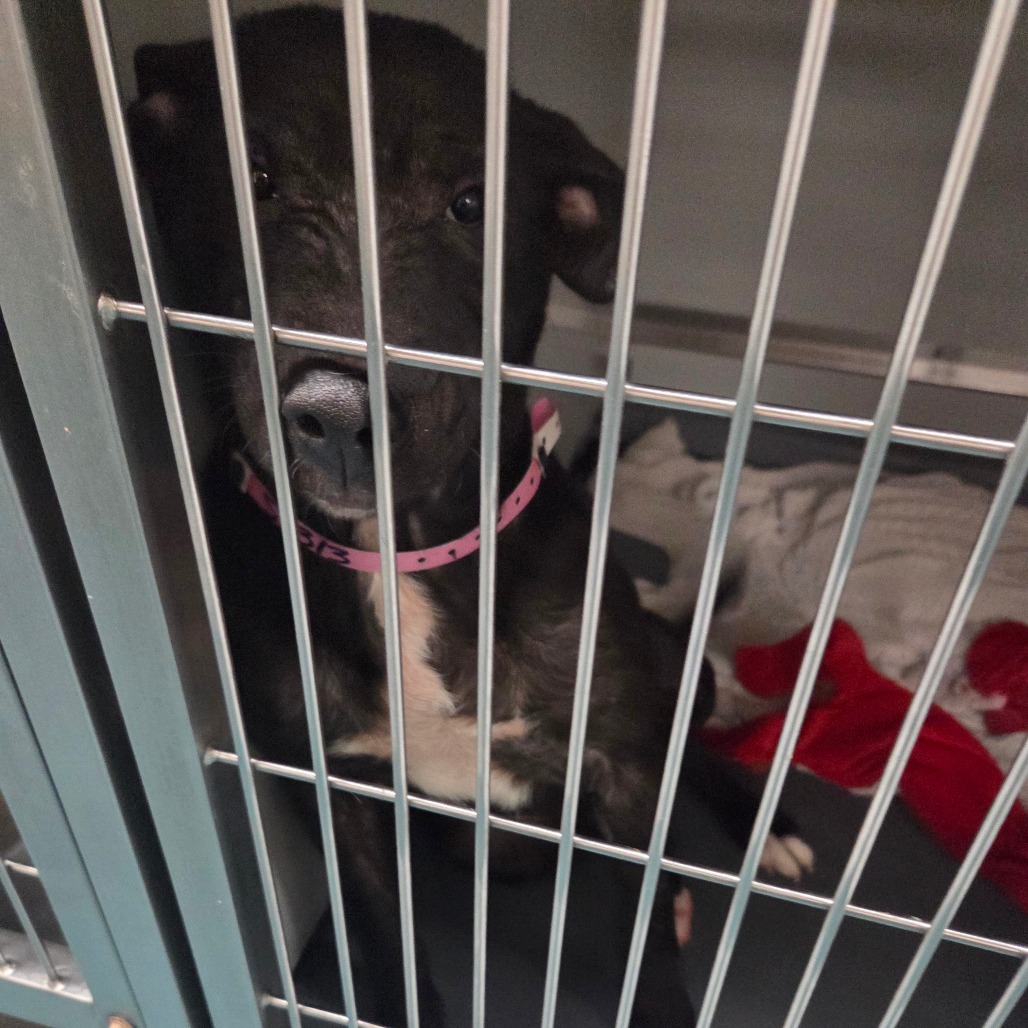 Elizabeth — thumbnail 7