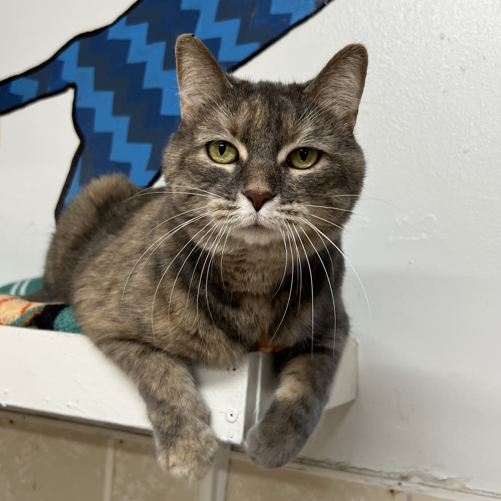 Fiona