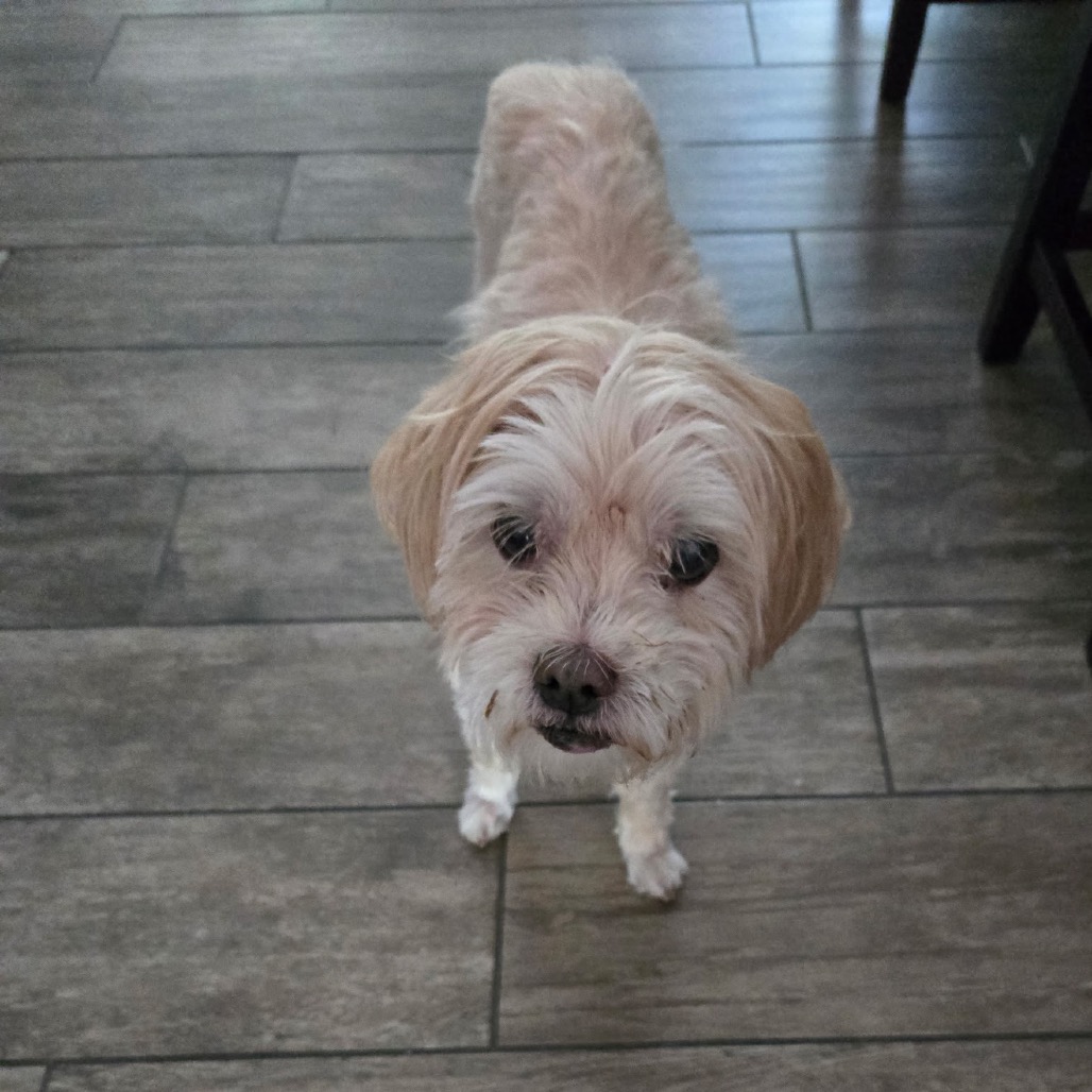 Crouton (Jelani), photo 2