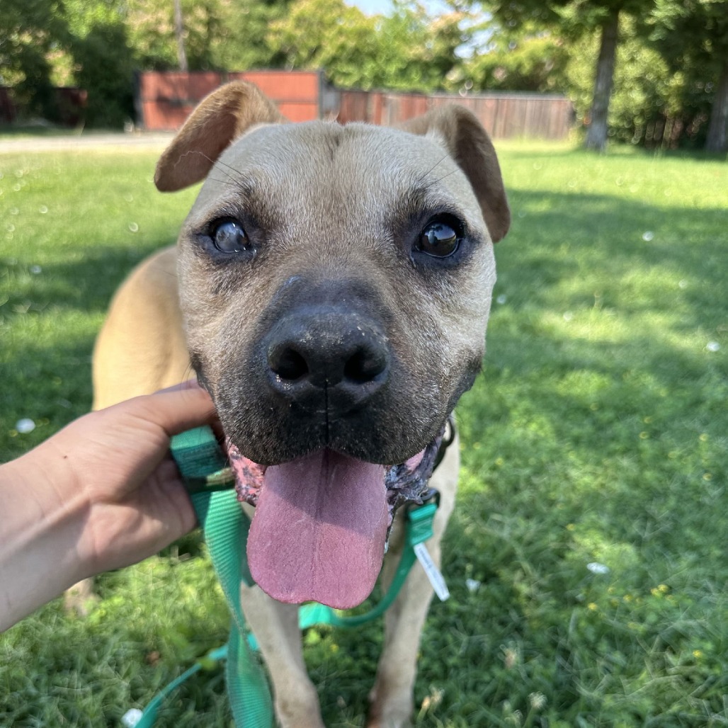 RUBBLE — thumbnail 3