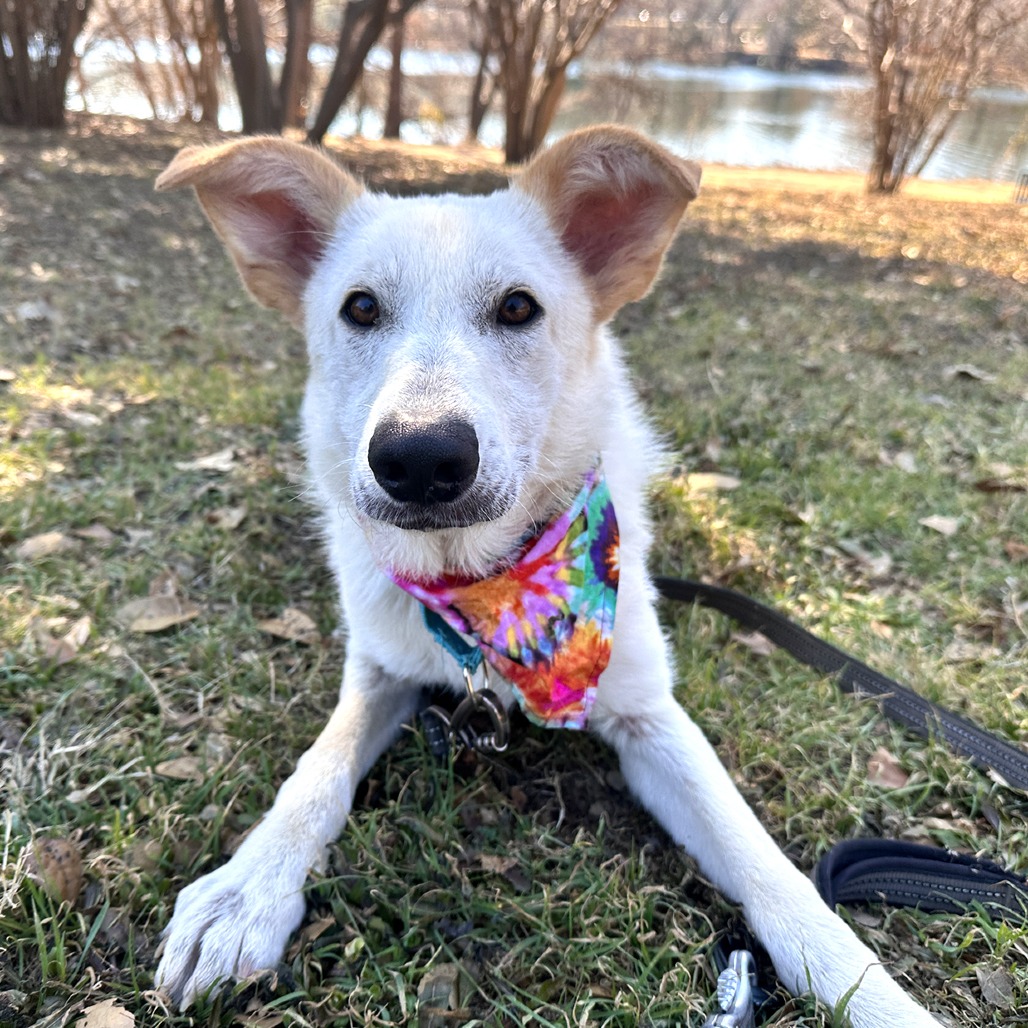 Crinkle Cut — thumbnail 10