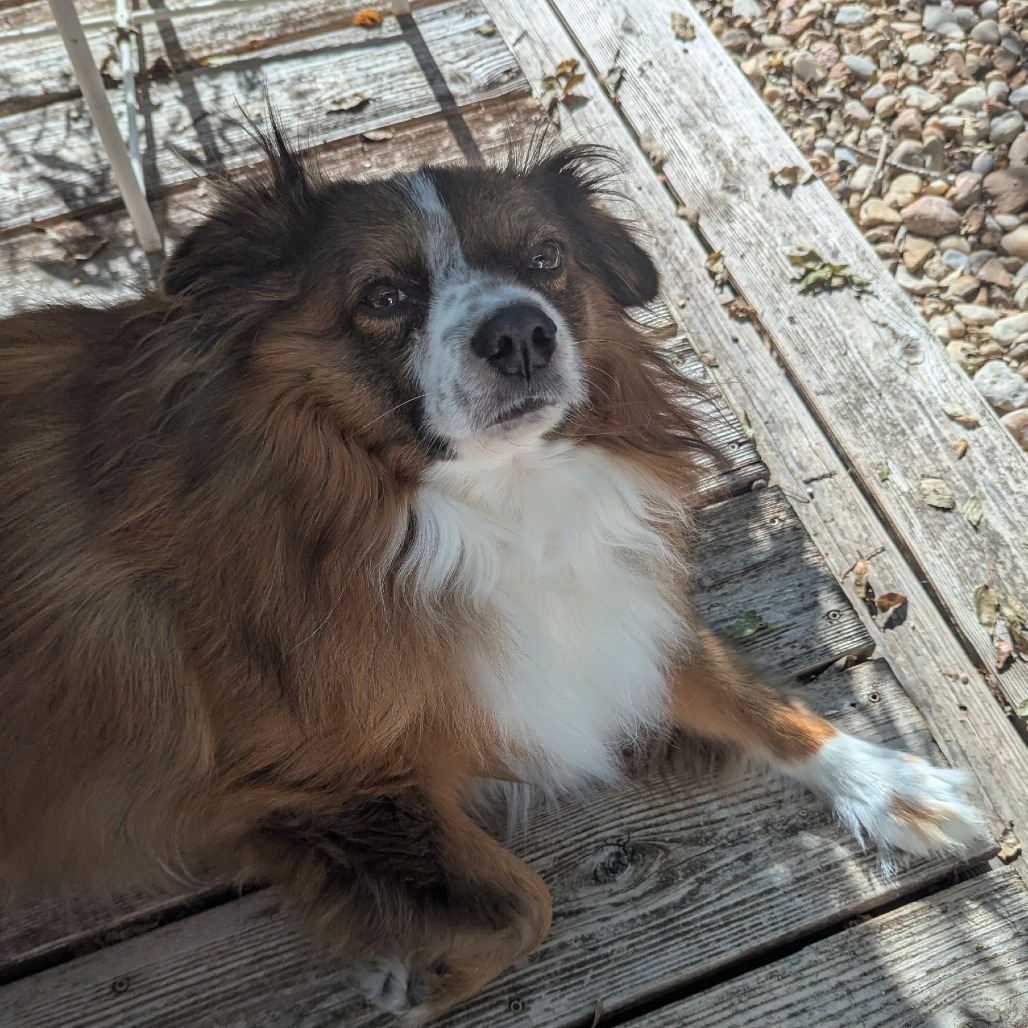 Dorothy Emerald, additional photo
