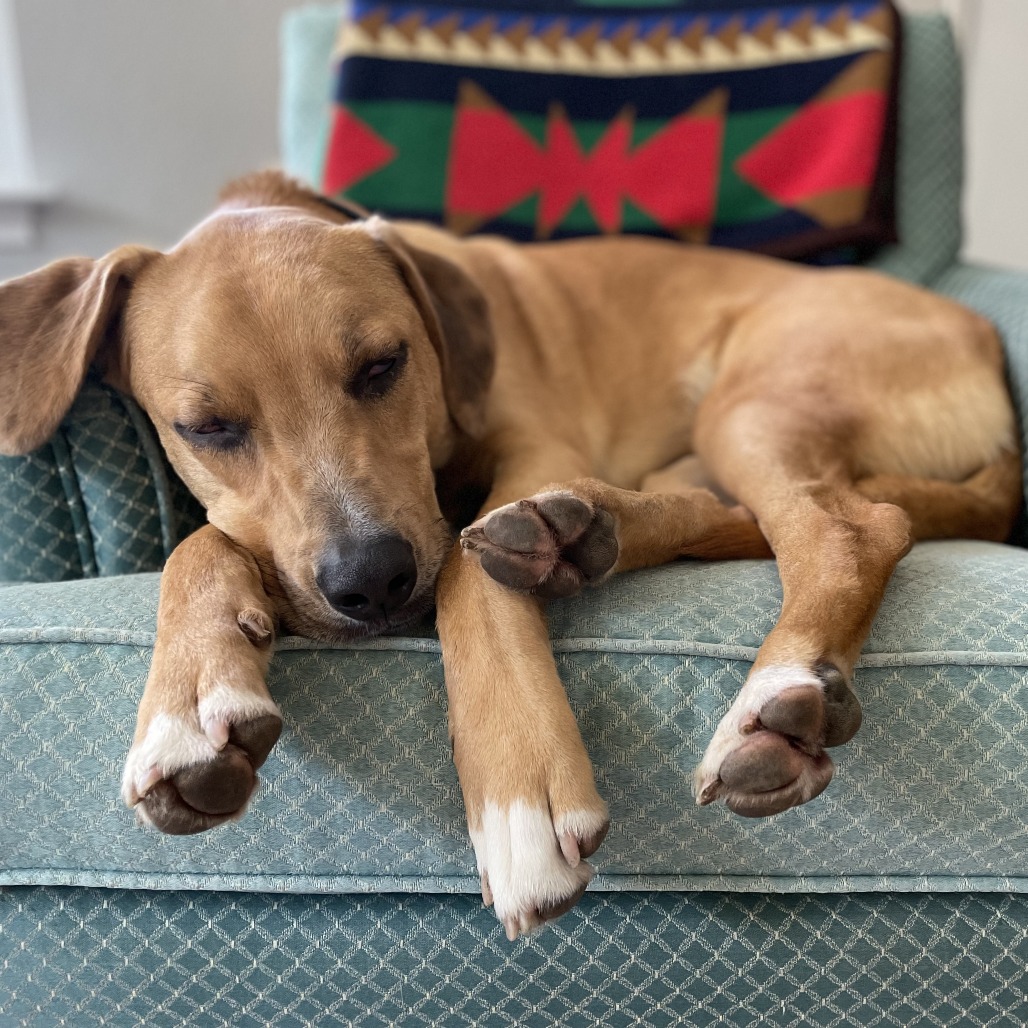 Marx — thumbnail 5