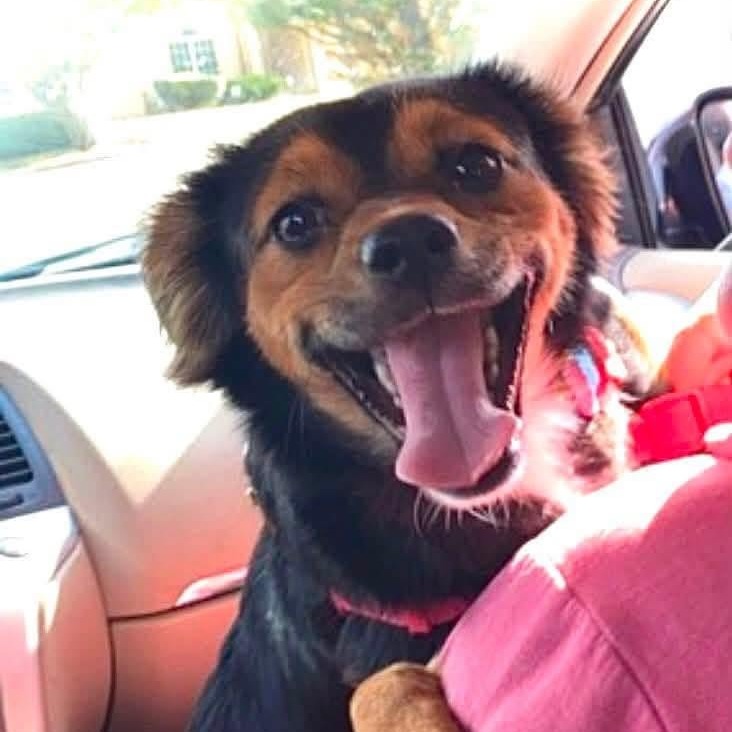 Photo of Zoe