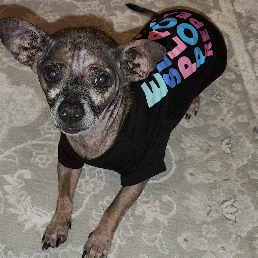 Kodak — thumbnail 2