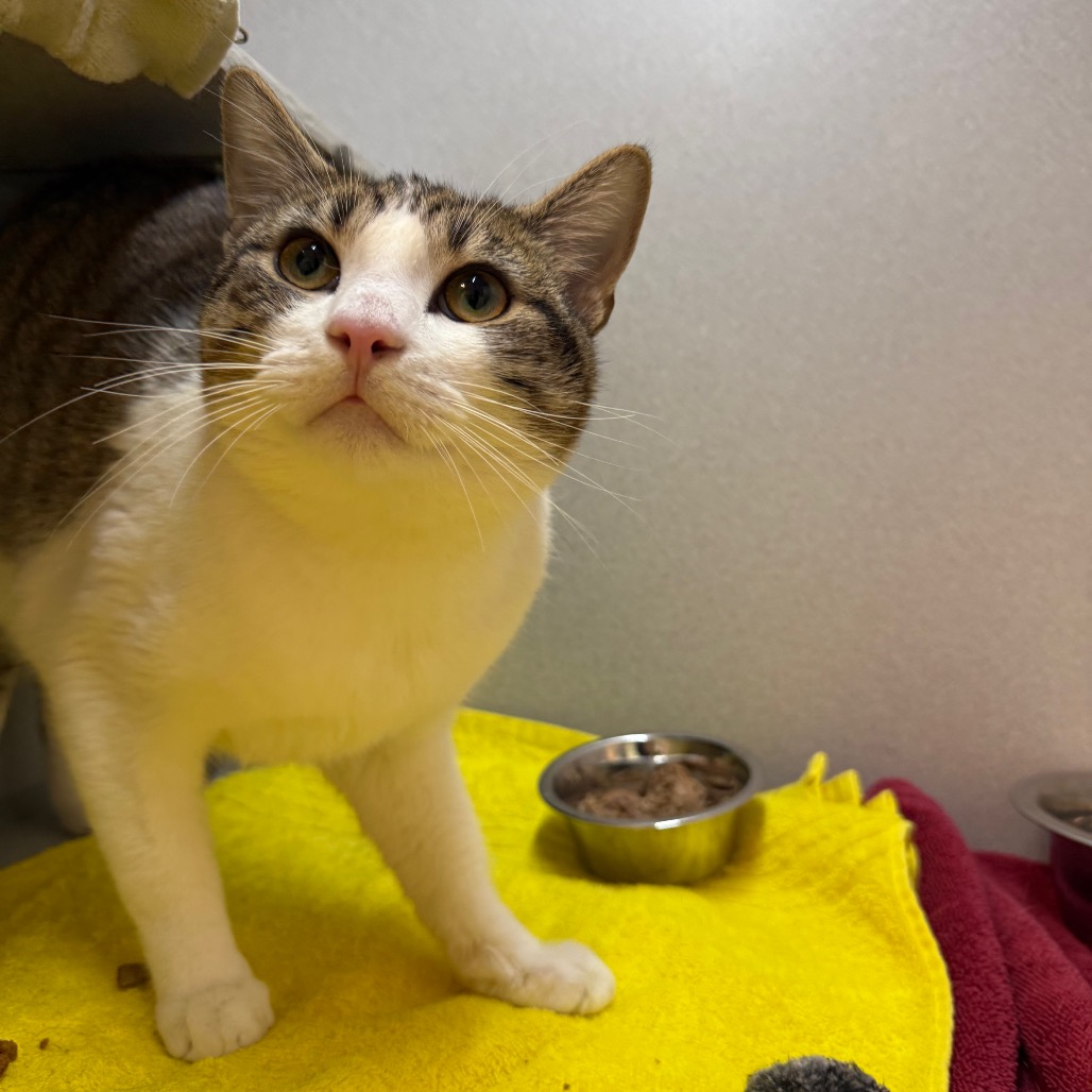 Photo of Nick Carraway 10