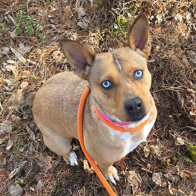 Persephone — thumbnail 10