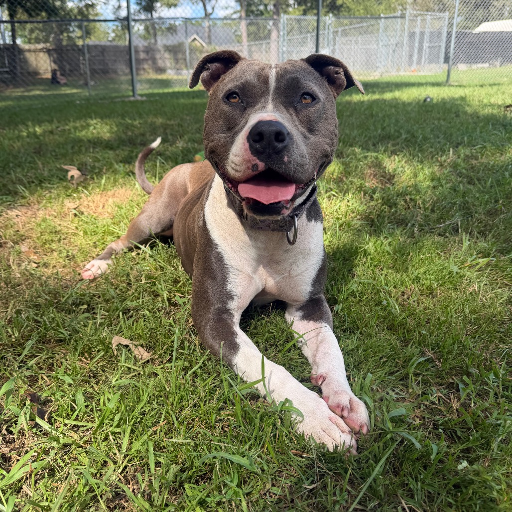 Selma