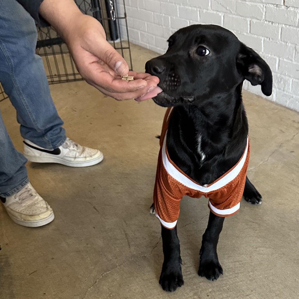 James Rush — thumbnail 11