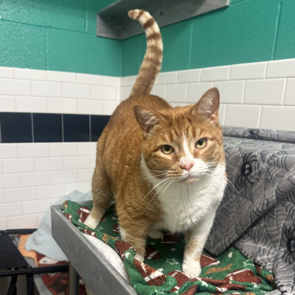 Photo of Freddy and QZ 19