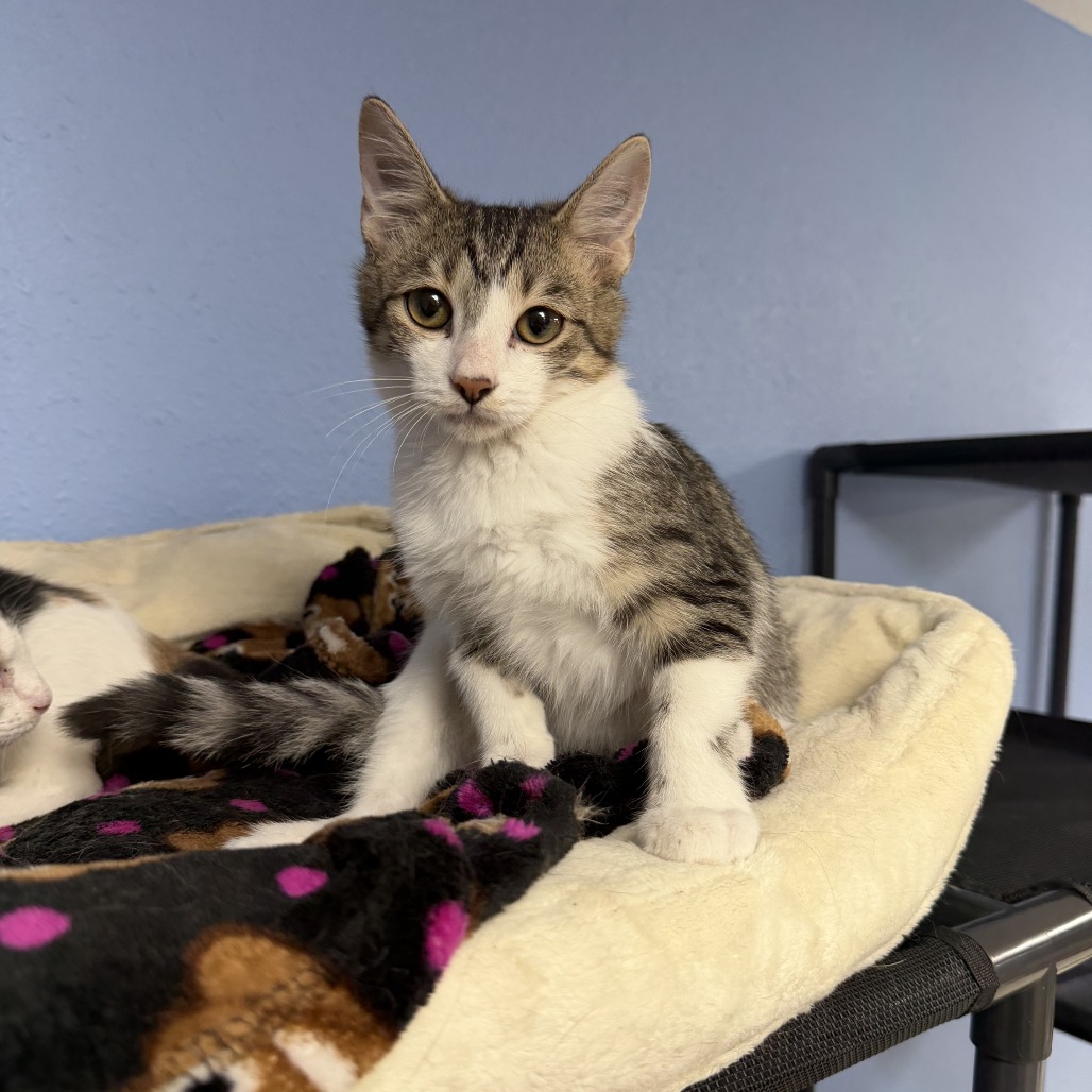 Grace, adopted