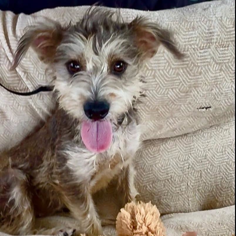 Photo of Buffy