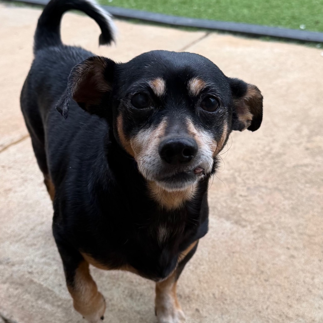 Franco — thumbnail 3