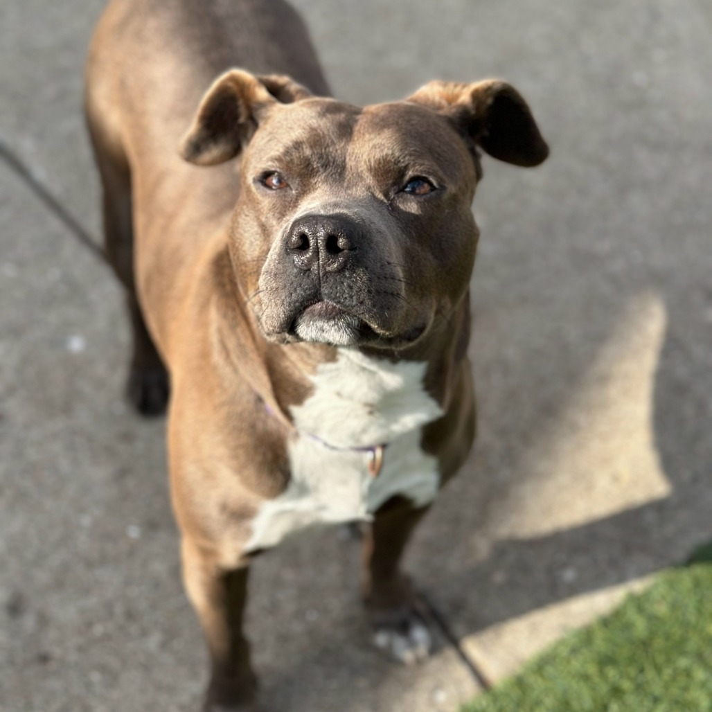 Kizzy — thumbnail 7