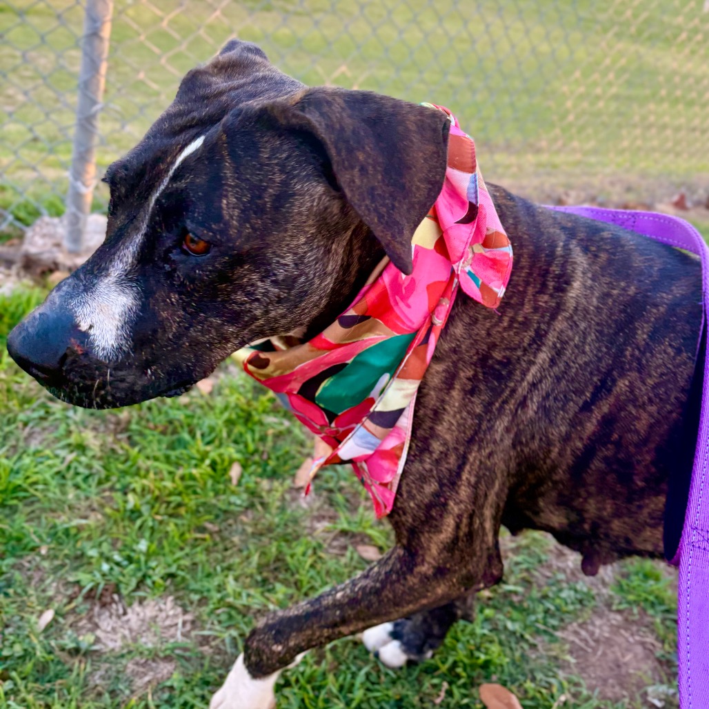 Cookie Cuddles — thumbnail 9