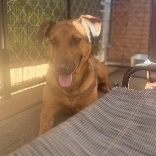 Regina — thumbnail 2