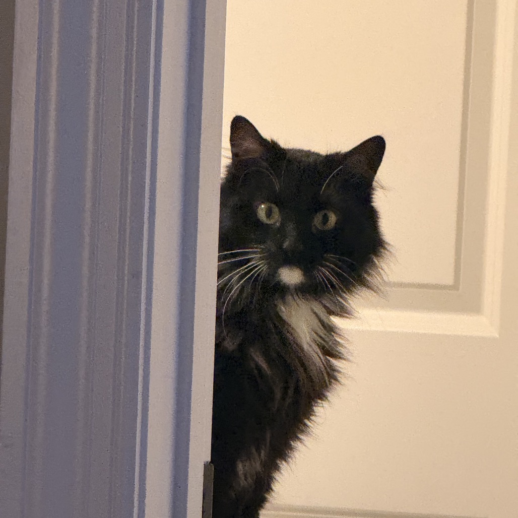 Anastasia — thumbnail 3