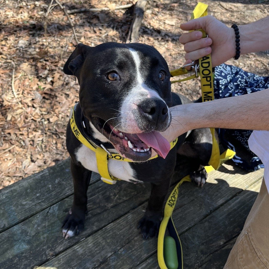 Whimsy Lou — thumbnail 2