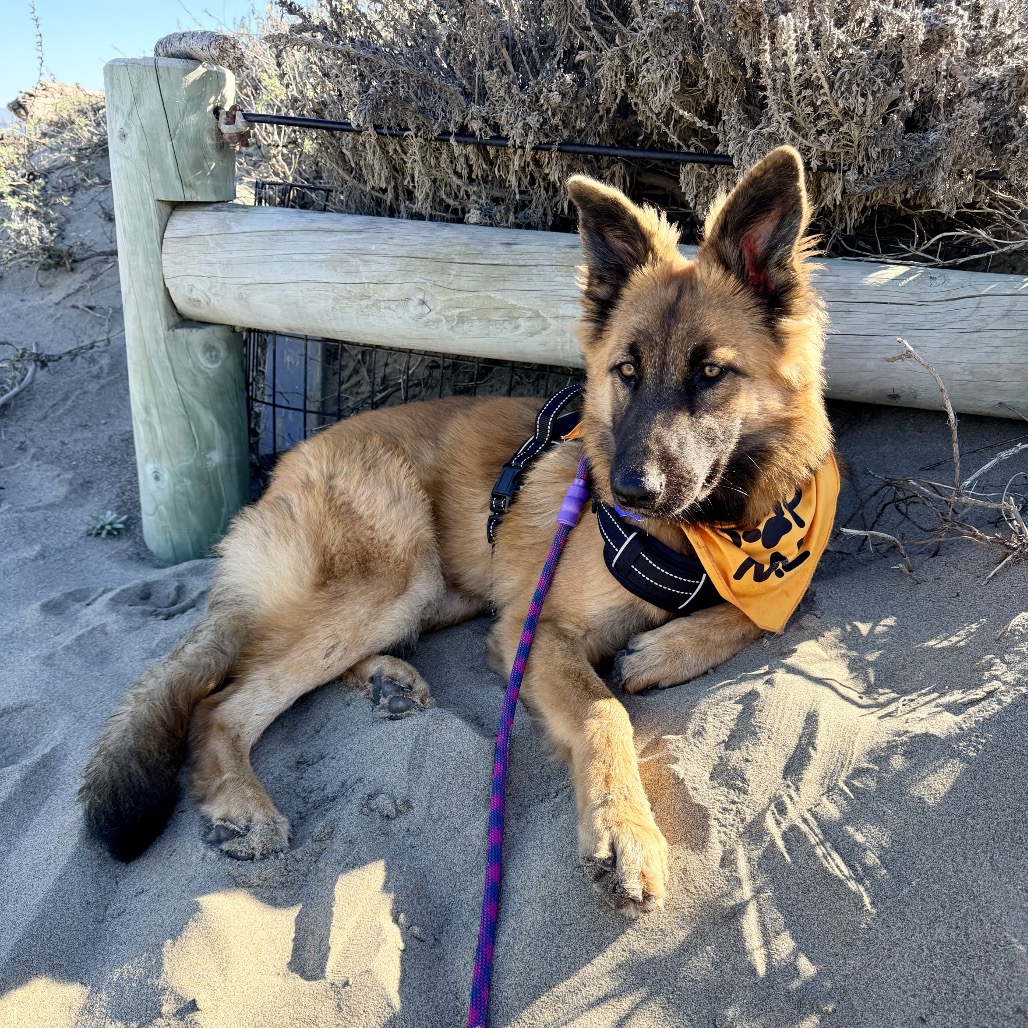 Lightning — thumbnail 5