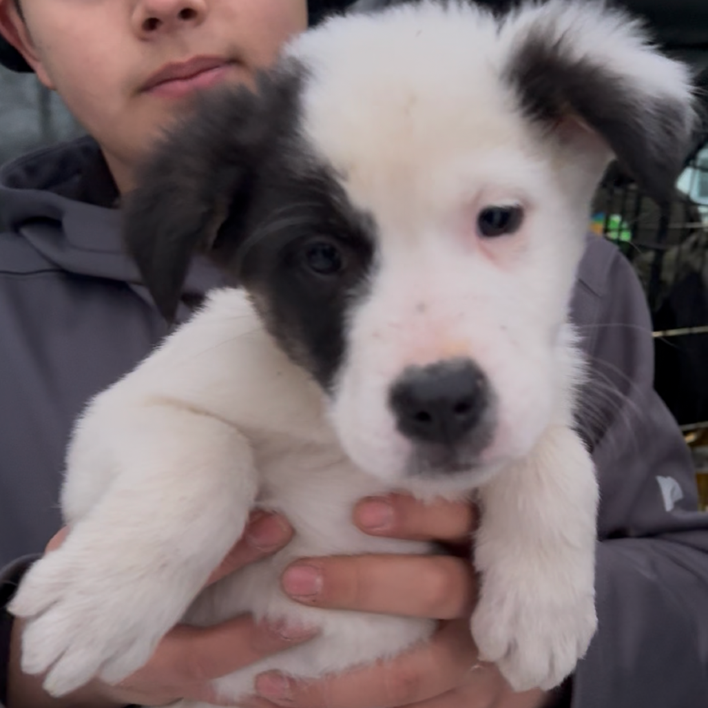 Ramada — thumbnail 2