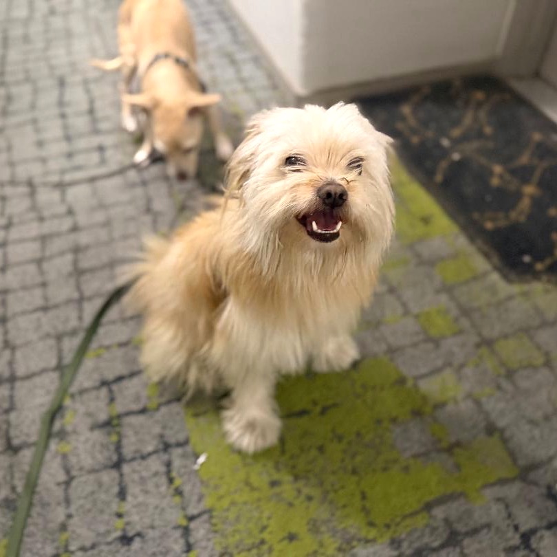 Barnaby — thumbnail 5