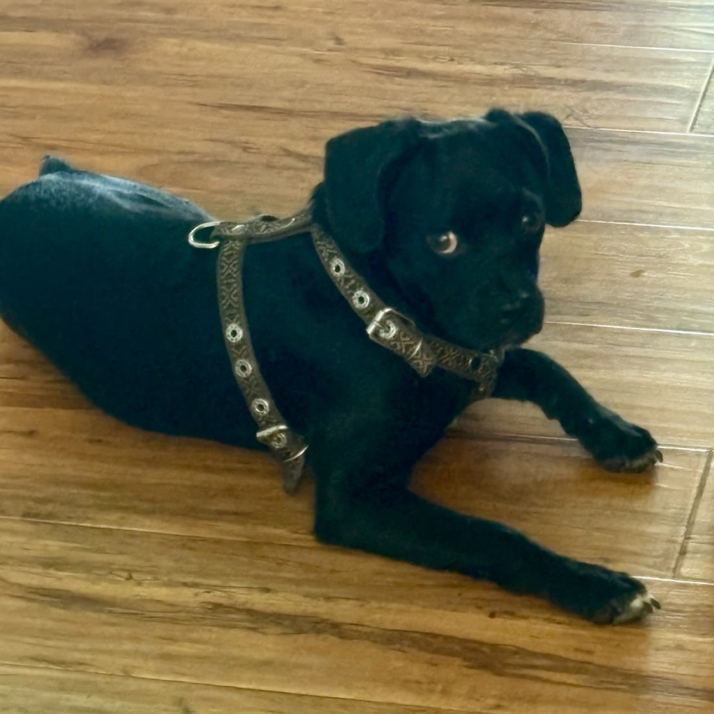 Sebastian