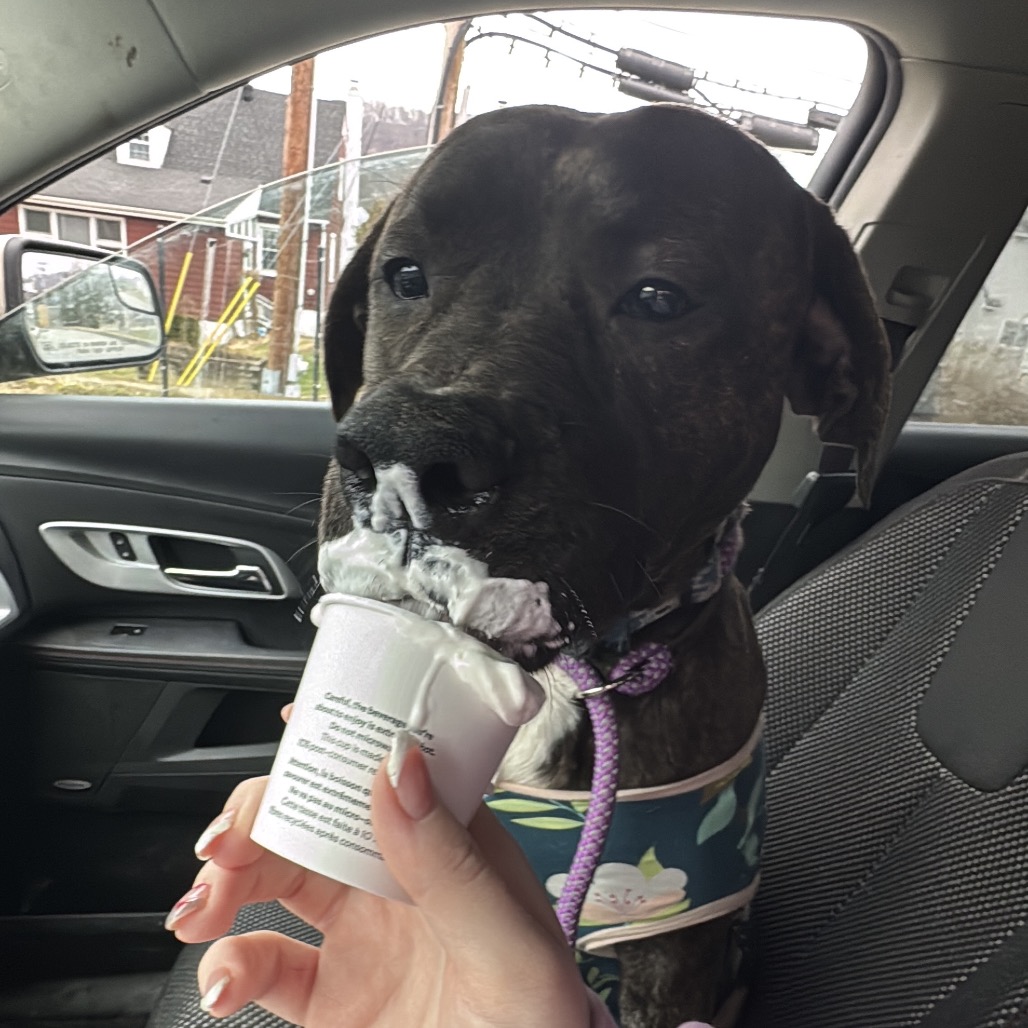 Minnie — thumbnail 3