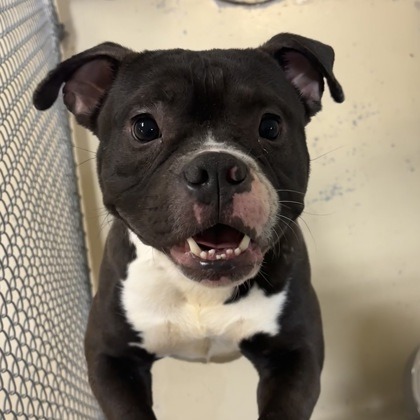 Mark — thumbnail 8