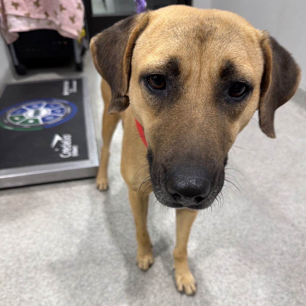 Wendy — thumbnail 2