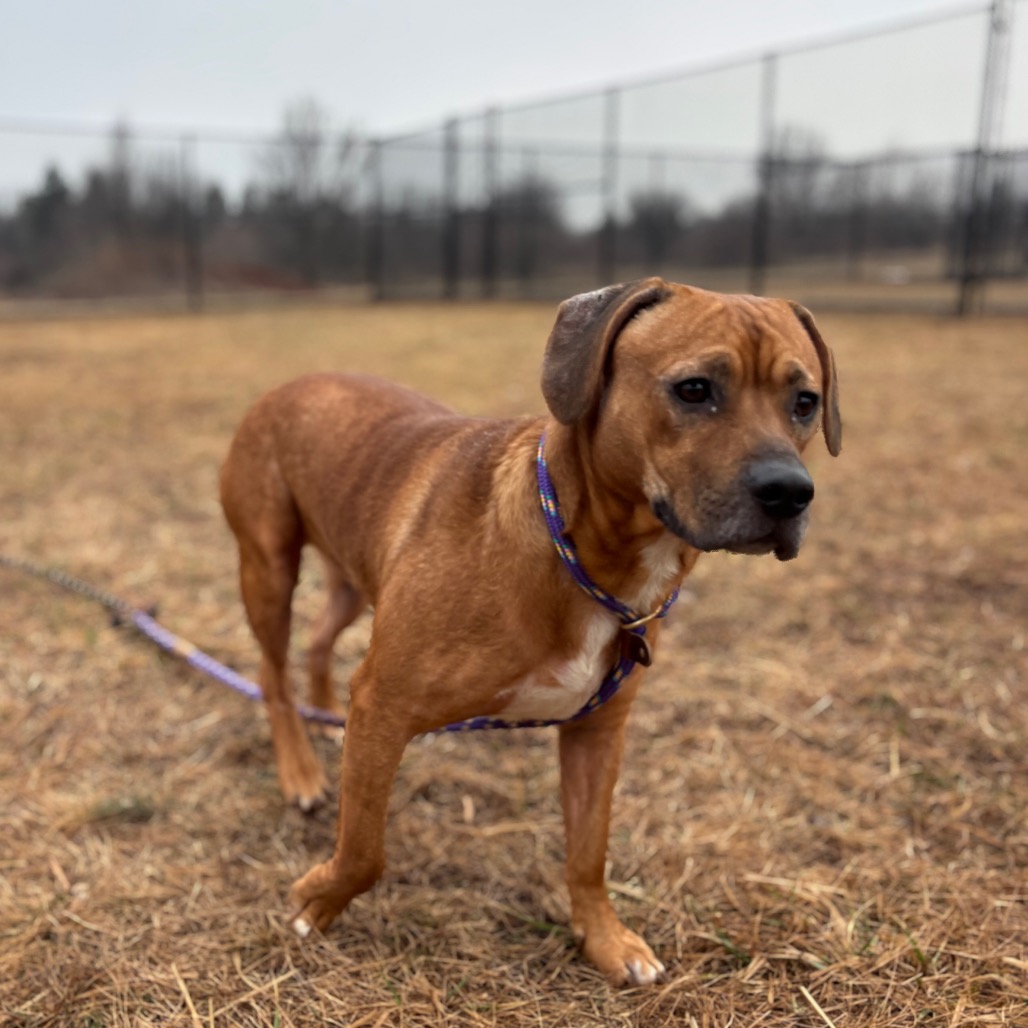 a0004f57a2c1fe0444897f6cd13e59eb