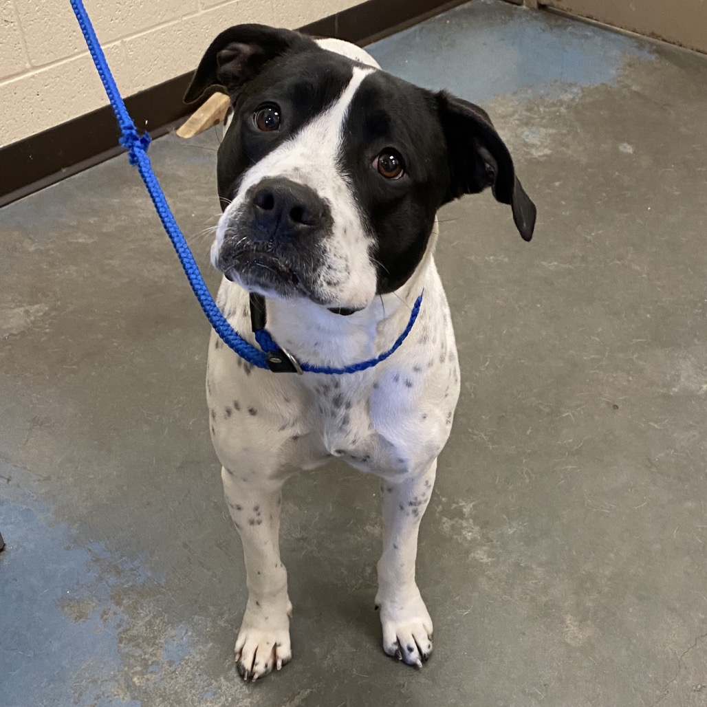 Wendy — thumbnail 2