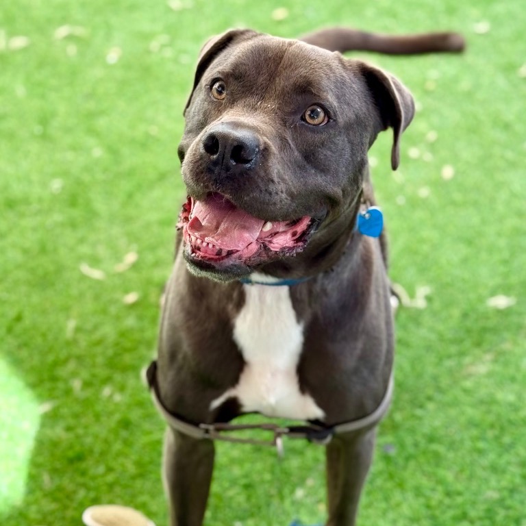 Another portrait of Hollywood