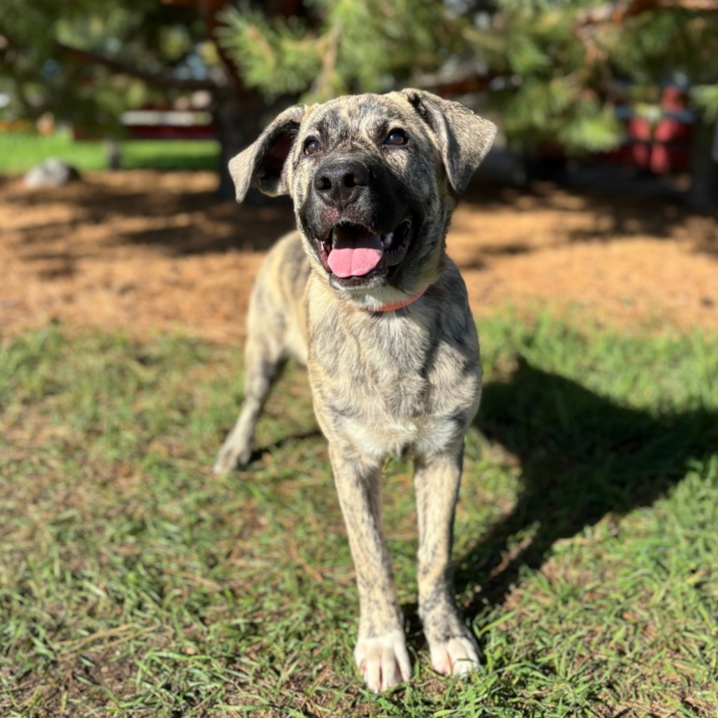 McGee--In Foster